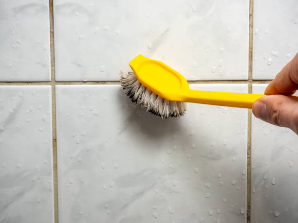 Best Certified Mold Removal  in Rochester, WA