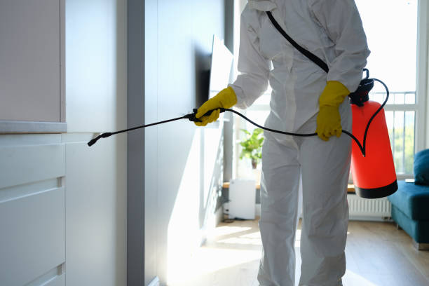 Water Damage Restoration in Rochester, WA