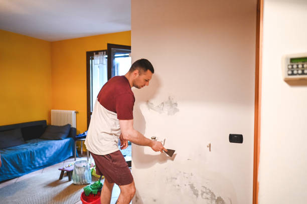 Best Certified Mold Removal  in Rochester, WA